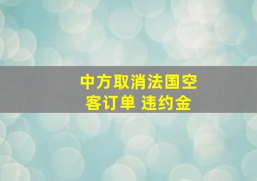 中方取消法国空客订单 违约金